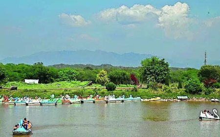 After 30 years, SC says it's time to let HCs look into state-related green issues