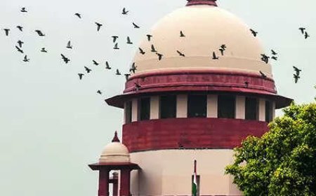 Can't hear out holders before declaring a/cs fraud: RBI, SBI