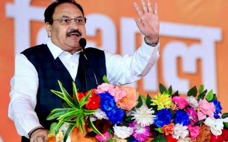 Govt to run pilot project to link fertiliser demand to farmland size: Nadda