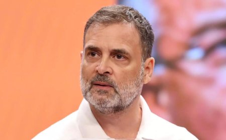 'Videsh nayak': BJP takes dig at 'paryatan leader' Rahul Gandhi; Congress leader to be in Germany from Dec 15–20