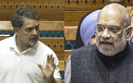 SIR row debate in Lok Sabha: Rahul Gandhi interrupts Amit Shah with 'open challenge'; gets 'I will decide' reply - watch