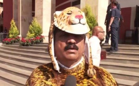 'Raising issue since 2014': Maharashtra MLA dresses up as leopard to protest rising wildlife problem – watch video