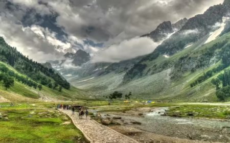 Chinese national sent back to Delhi from Kashmir