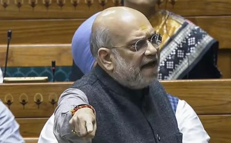 Congress brass behind poll defeats, not EVMs: Amit Shah