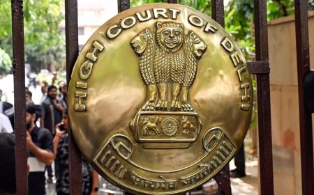 Delhi HC: Why did you let crisis precipitate? Failure on part of govt, DGCA