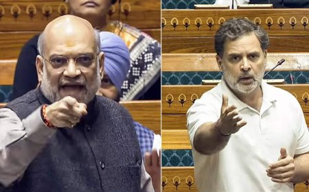 'Under pressure, hands trembling': Rahul Gandhi takes a dig at Amit Shah over Lok Sabha speech — watch