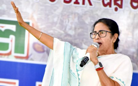 'This is not Uttar Pradesh': Mamata Banerjee condemns assault on non-veg food vendors; three arrested
