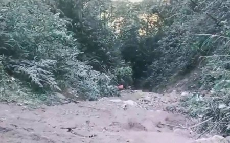 22 feared dead in Arunachal gorge tragedy