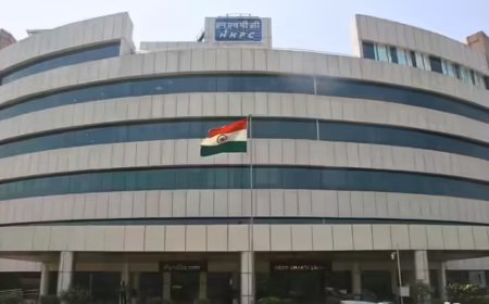 NHPC denies offering forest land as collateral to raise funds