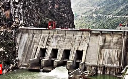 Labour pangs back to haunt key J&amp;K hydel project