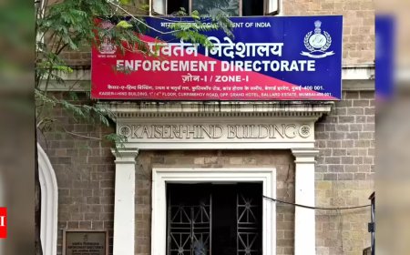 ED searches 40 sites in 4 states for 'highly radicalised IS module'