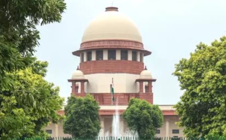 'Something wrong in HC': SC scraps plea against SIT probe into Karur stampede; TN govt says won't interfere with CBI investigation