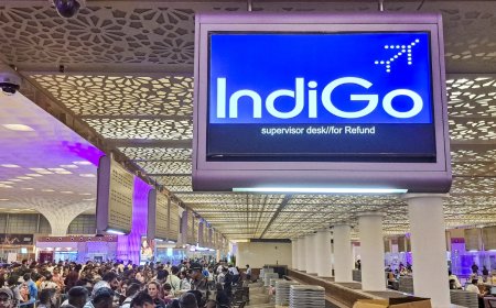IndiGo crisis: Airline appoints external aviation expert to carry root cause analysis; parent company sets up crisis management group