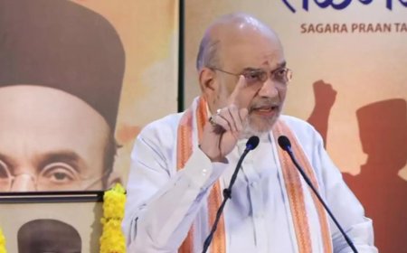 Savarkar never got due recognition: Amit Shah