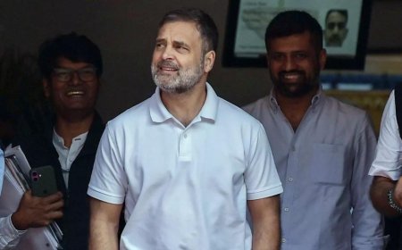 Rahul Gandhi asks for air pollution debate in Lok Sabha, govt agrees