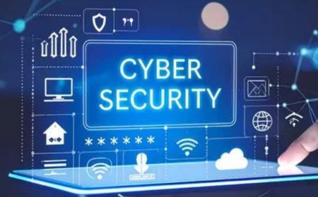 Digitised states at higher cyber risk, says report