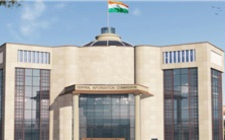 After 7 years, CIC to be at full strength