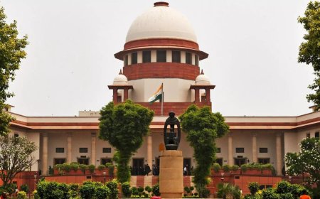 Wonder if MP HC aware of condonation delay law: SC