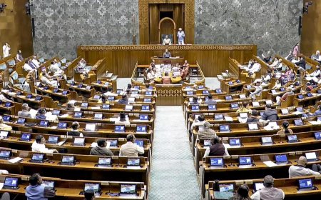 Bill to set up single higher education regulator likely to be tabled in Parliament next week