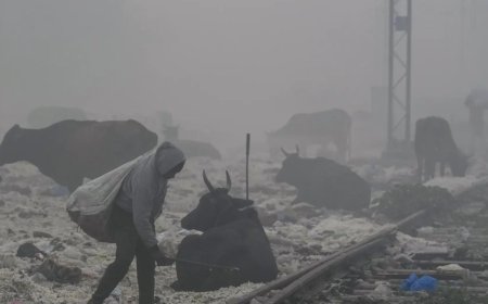 Delhi air pollution: Singapore, UK and Canada issue advisory as AQI soars; caution travelers