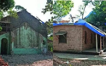 What's lost when hospitals lose their trees