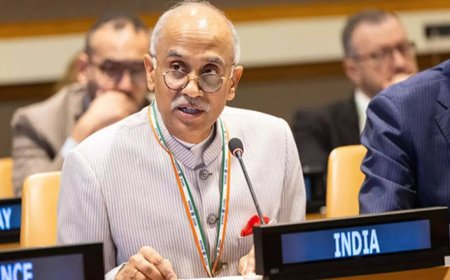 Watch: India rebukes Pakistan at UNSC; says J&amp;K, Ladakh are integral parts of the country
