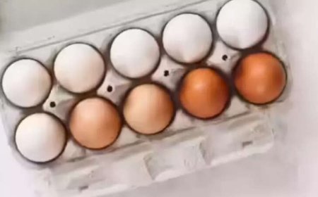 Test eggs for banned antibiotics, orders FSSAI after nitrofurans row