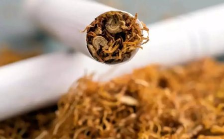 'Gogo paper' banned: Gujarat bars sale of rolling papers, pre-rolled cones; cites youth addiction