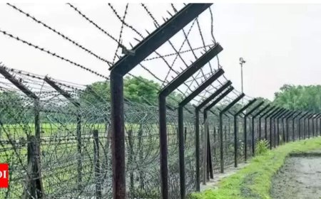 Indo-Bangladesh border records highest infiltration cases in 2025: Govt data