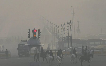 'Challenge remains complex': China shares pollution playbook for Delhi; vehicle curbs, industrial overhaul in list