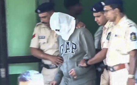 Nightclub fire: North Goa court orders fresh medical check of Luthra brothers; one sibling reported chest pain earlier