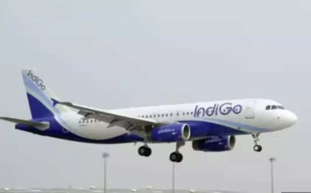 Panel questions IndiGo, DGCA babus, gets 'unconvincing' replies