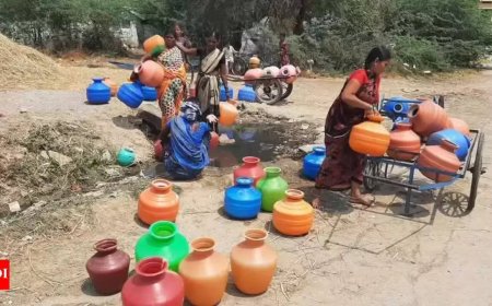 India's groundwater crisis: Which states are heading towards 'Day Zero' first