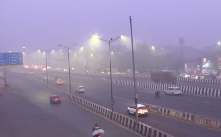 North India covered with dense fog: Red alert in Delhi, UP, Punjab and Haryana; over 150 flights cancelled