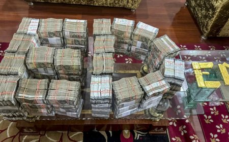 Dunki route probe: Haryana contractor took property papers as collateral; ED raids conducted in 3 states