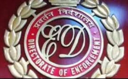 ED attaches Yuvraj, Mimi, Ankush assets