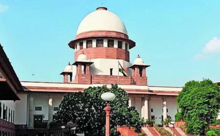 Supreme Court: Criminal record, gravity of offence key in deciding bail