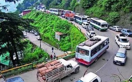 High court seeks report from chief secretary on steps to unclog Shimla traffic