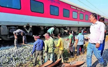 4th elephant death on rail tracks this year, toll rises to 94 since 2019