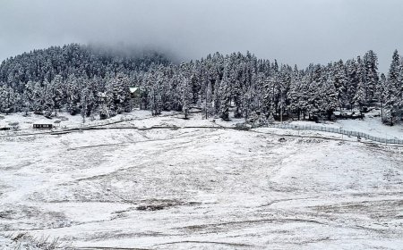 Chillai-Kalan begins: Kashmir sees snow and rain in its higher reaches - watch