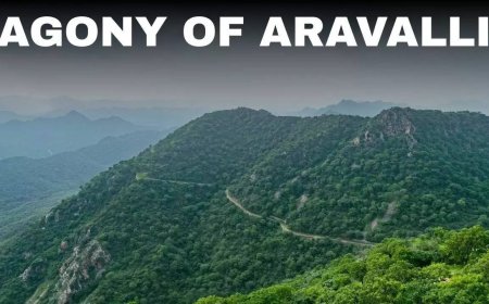 Mountain older than memory: How new 'definition' of Aravalli risks undercutting 'Viksit Bharat'