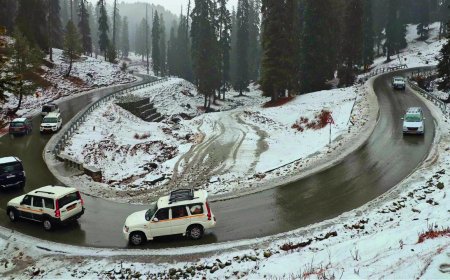 Intense cold in north India, relief unlikely in next 48 hours