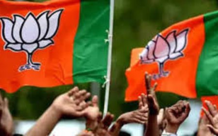 6 BJP aspirants from same Loha family lose polls