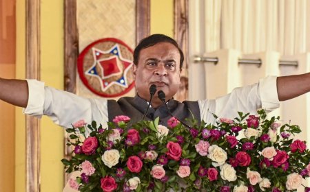 Assam cops, BSF push 19 illegals into Bangladesh