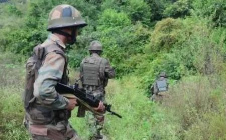 Hunt expands for terrorists hiding in Udhampur forests