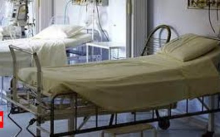 Assault over 'tu': Doctor suspended for hitting patient in Shimla hospital