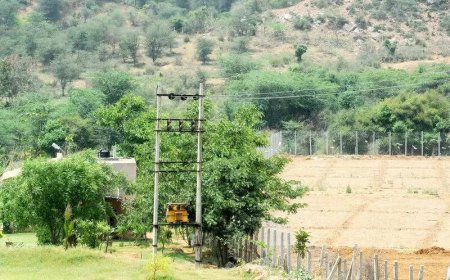 ‘No new mining lease till mgmt plan is final’