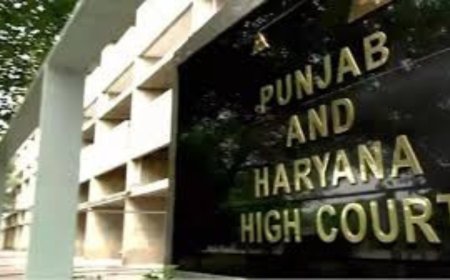 Passport deposit as bail clause needs proof of flight risk: High court