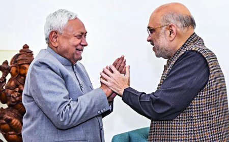 Nitish Kumar meets PM Narendra Modi, Amit Shah in a ‘courtesy call’