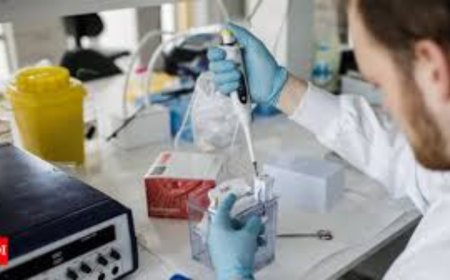 IIT, Australian university develop nanotech drug delivery for breast cancer